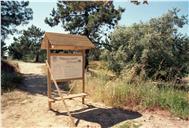 Parque Verde, Charneca de Caparica.