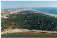 Fotografia aérea do concelho de Almada.