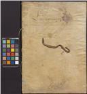 Registo do imposto da décima dos maneios.