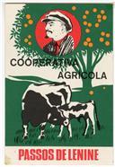 Cooperativa Agrícola Passos de Lenine.