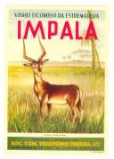 Rótulo de vinho licoroso da Estremadura Impala.