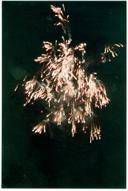Fogo de artifício.