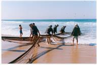 Pescadores, praia na Costa da Caparica.