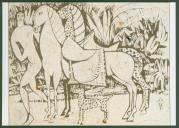 Les Chevaux du Roi.