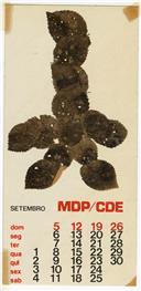 Calendário MDP Setembro.