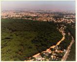 Vista aérea da Mata Nacional dos Medos, Charneca de Caparica.