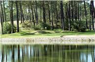 Clube de golfe da Aroeira.