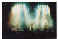 Concerto de Delfins.
