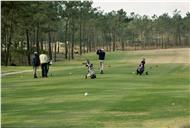 Clube de golfe da Aroeira.