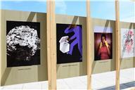 Cartazes da Exposição que assinala os 45 anos do 25 de abril.