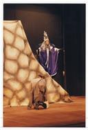 7.ª Edição do Sementes - Mostra Internacional de Artes para o Pequeno Público: ópera "A flauta mágica".