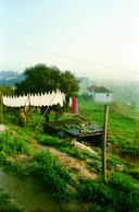 Casas na Quinta de Vale Flores de Baixo, Feijó.