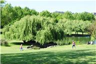 Parque da Paz, Almada.