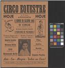 Circo equestre.