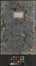 Observações médicas e meteorológicas, do ano de 1805, n.º 16.