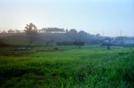 Paisagem na Quinta de Vale Flores de Baixo, Feijó.