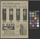 O Gato.