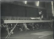 Fotografias de ginástica.