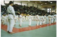 II Campeonato da Comunidade Europeia de Judo.