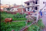 Bairro em Vale Flores de Cima, Feijó.