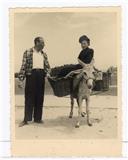 Retrato de Pedro Teotónio Pereira acompanhado da sua mãe Virgínia Carlota Hermann Von Boetischer em passeio de burro no Baleal.