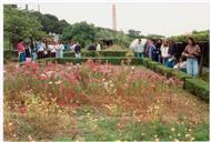 Semana do Ambiente - Passeio do ambiente.