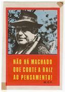 Não Há Machado que Corte.