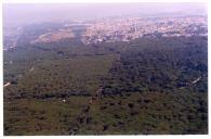 Vista aérea da Mata Nacional dos Medos, Charneca de Caparica.