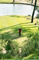 Clube de golfe da Aroeira.
