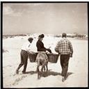 Retrato de Pedro Teotónio Pereira acompanhado da sua mãe Virgínia Carlota Hermann Von Boetischer e de um jovem criado em passeio de burro no Baleal.