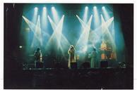 Concerto de Delfins.