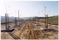 Parque da Paz: construção.