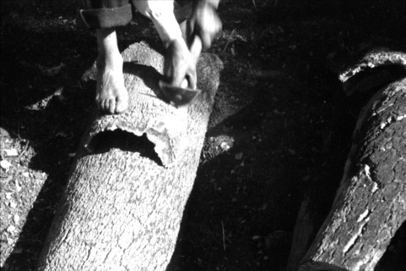 Legenda: Extra&ccedil;&atilde;o de corti&ccedil;a no montado: grande plano do gesto de limpeza com machada da prancha de corti&ccedil;a retirada. Tragoitos, Vila Franca de Xira, 01/07/1952.<p> Cr�ditos: Leslie Howard. CMA/Museu de Almada-Casa da Cidade