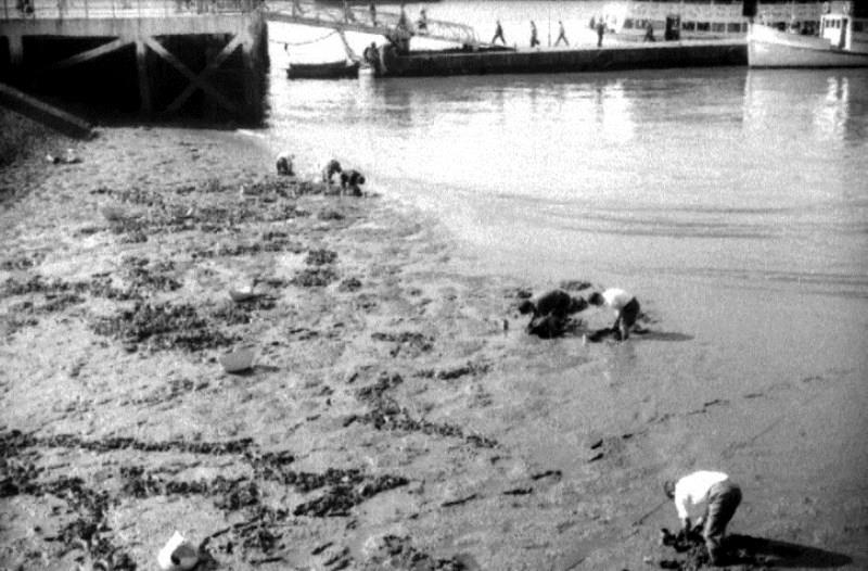 Legenda: Apanha de isco na mar&eacute; baixa, junto ao Cais das Colunas em Lisboa, 1965-66<p> Cr�ditos: Leslie Howard. CMA/Museu de Almada-Casa da Cidade