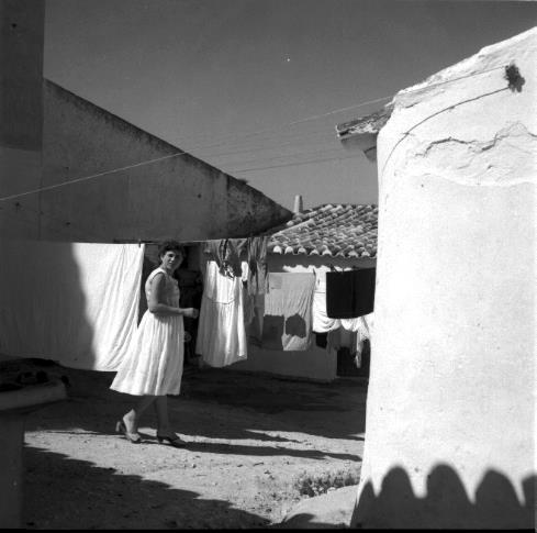 Legenda: Habita&ccedil;&otilde;es rurais e estendais. Charneca, 1950.